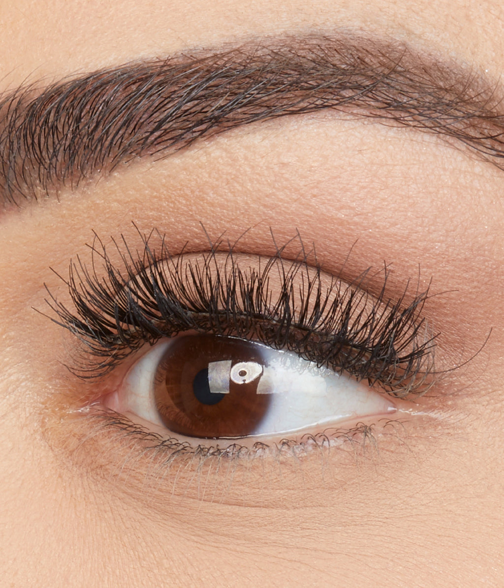Classic False Lash - Giselle #1